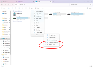 Windows 11 settings - Show hidden files and file extensions