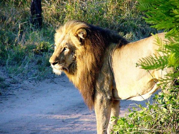 kruger-park-11-02