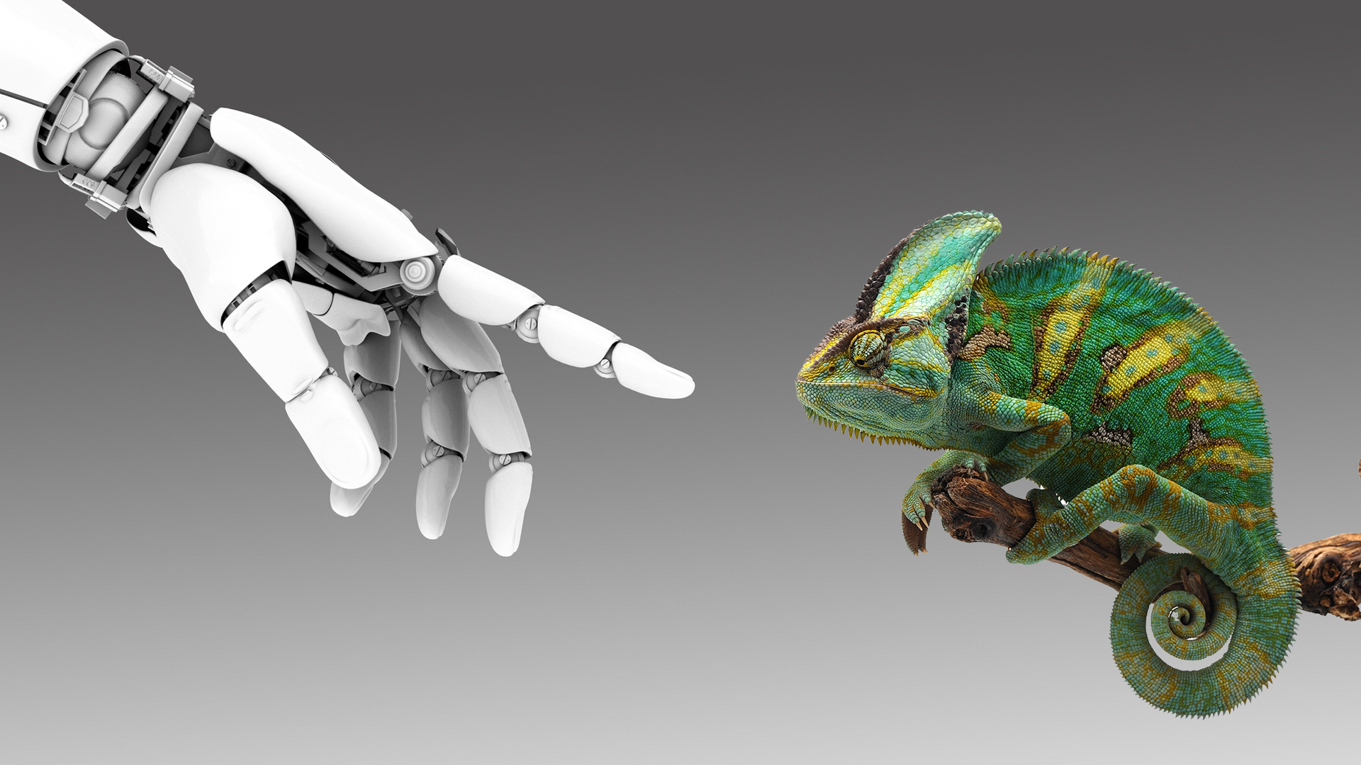 Scientists Design a Robotic Chameleon That Crawls and Changes Color, Science