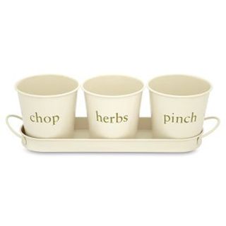 3 Cream colored herb pots on matching tray