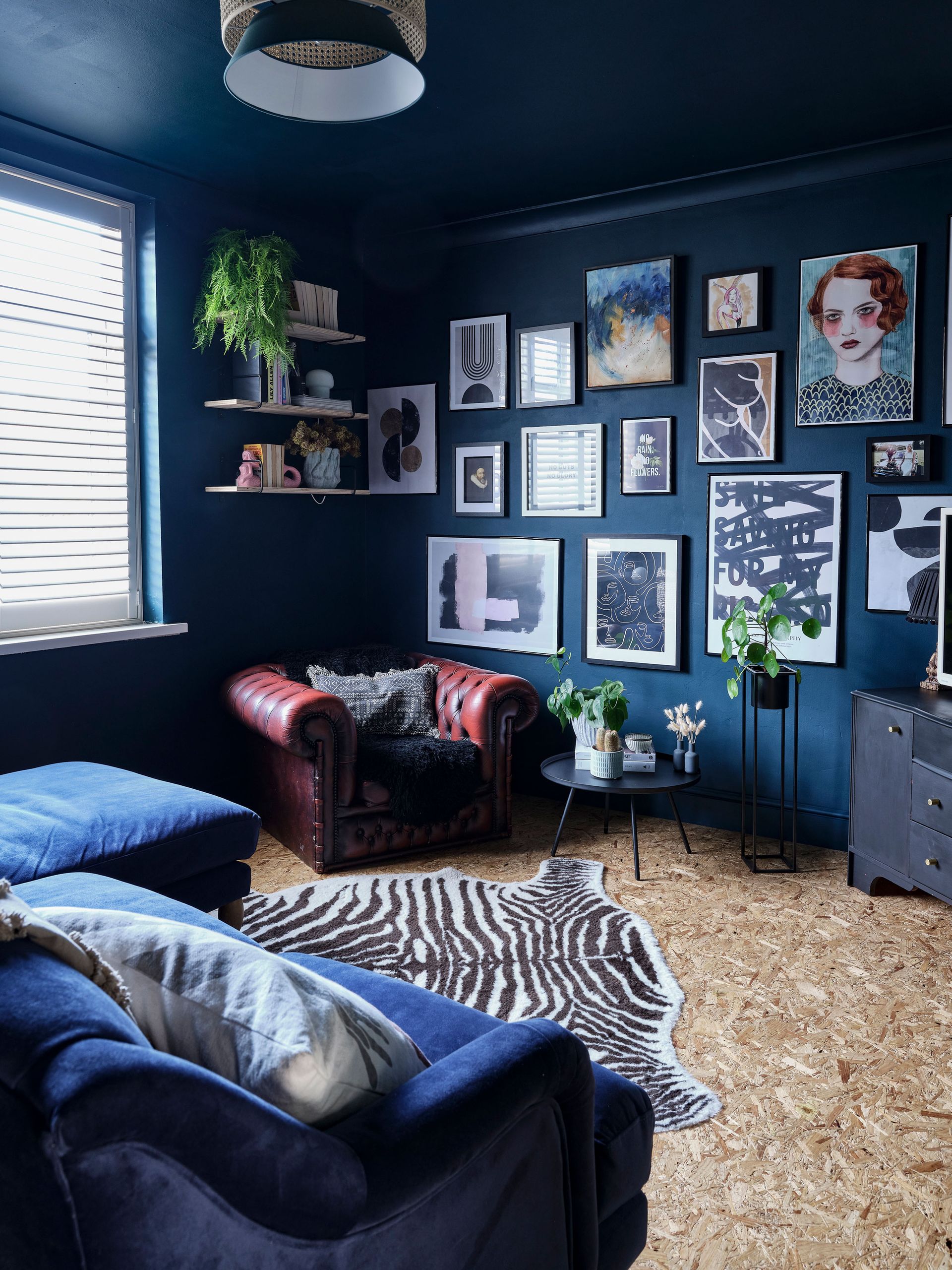 Slated blinds in dark blue contemporary living room with eclectic gallery wall, zebra rug and corkboard floor