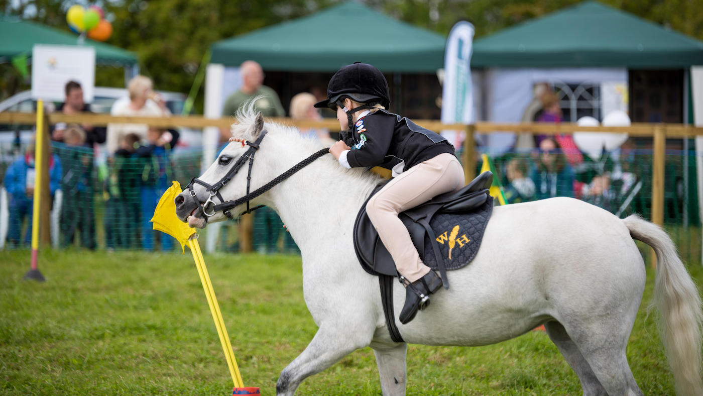 Child and pony playing mounted games