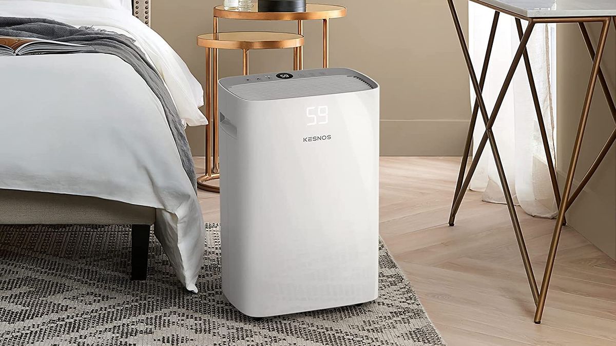 Save $80 on this Kesnos dehumidifier for Cyber Monday - Livescience.com