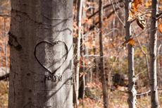 Heart Carved Into A Tree