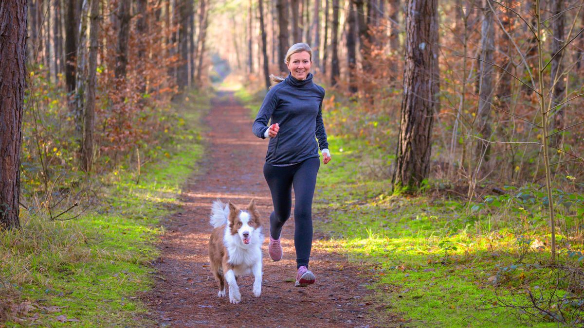 How To Go Trail Running With Your Dog Everything You Need To Know 