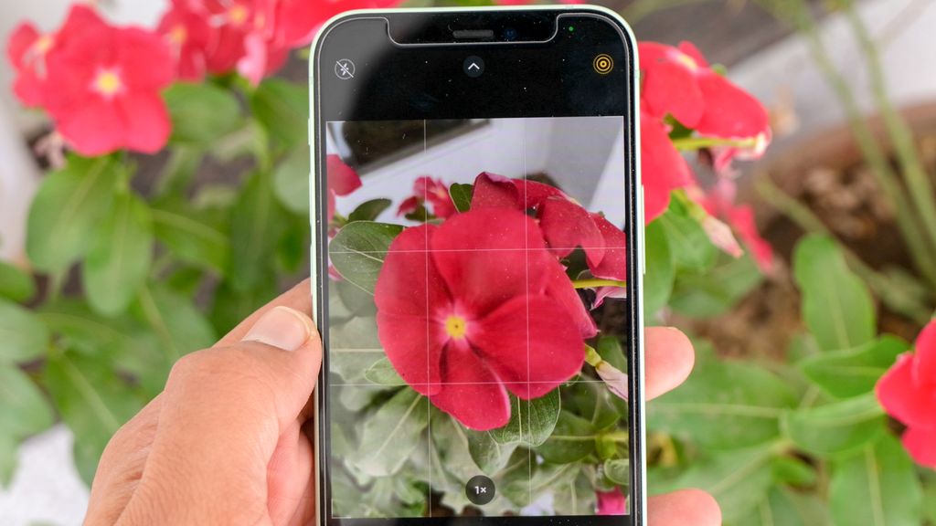 how-to-use-iphone-13-pro-s-macro-photography-mode-on-other-iphones