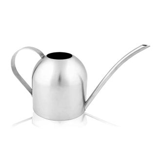 silver watering can
