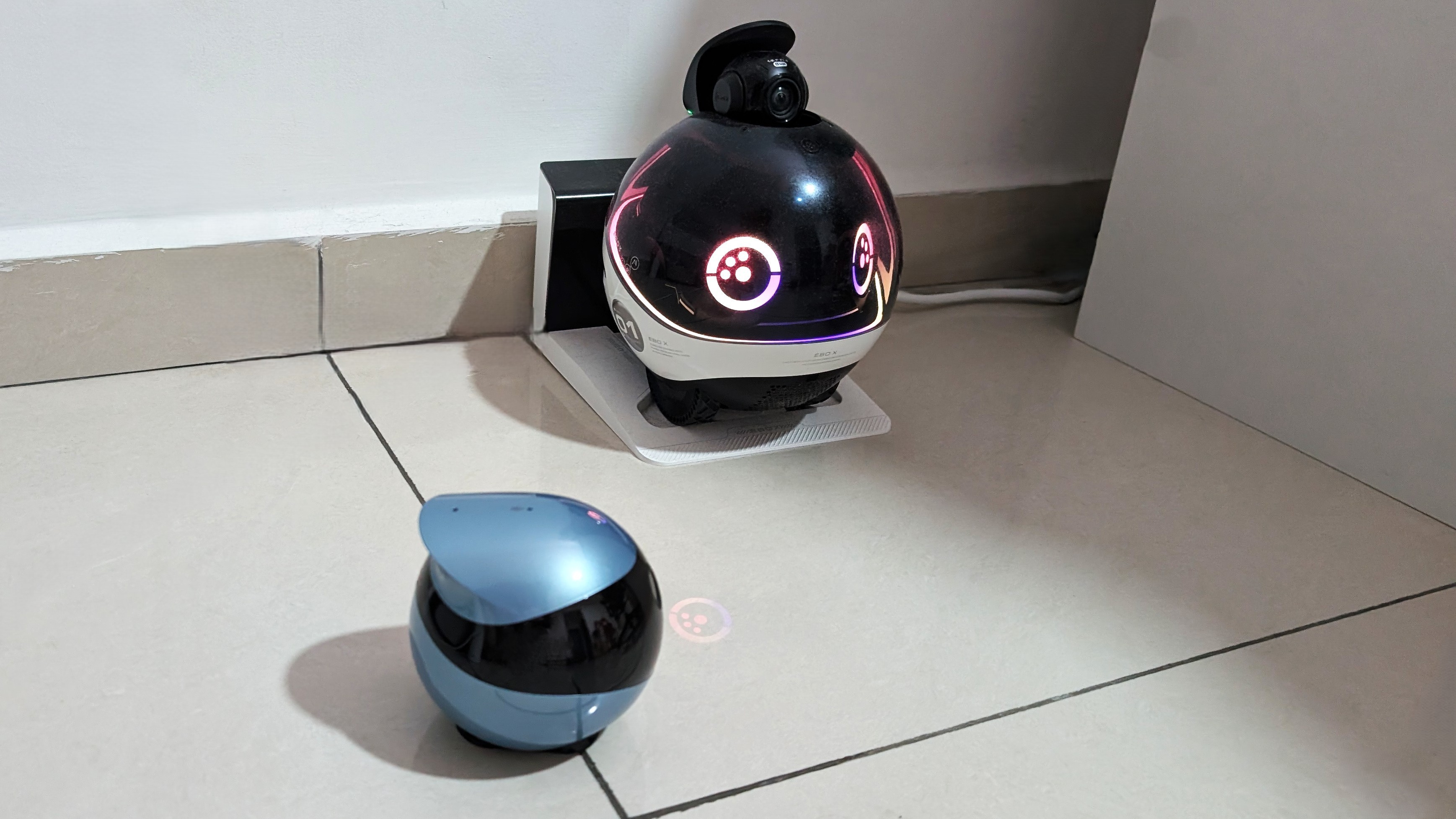 Enabot EBO Air 2 and EBO X cat robots