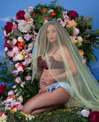 Beyonce and Jay Z are expecting twins