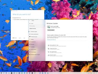 Windows 10 November 2019 Update download