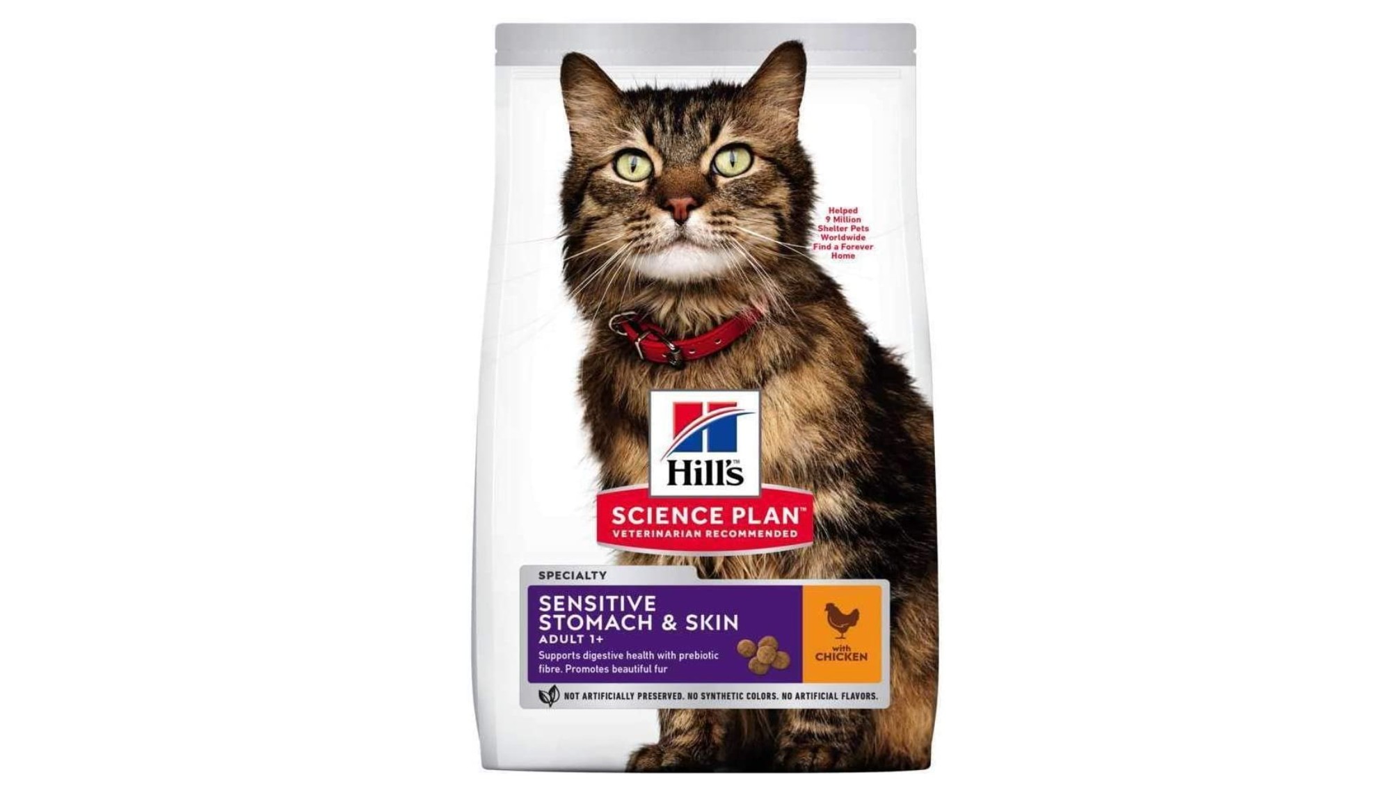 Best dry cat food 2024 how to know what to feed your cat PetsRadar