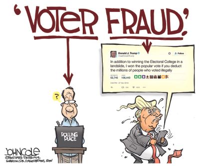 Political cartoon U.S. Donald Trump voter fraud allegations