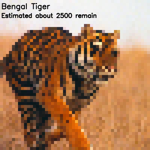 Pixelated images of endanger species