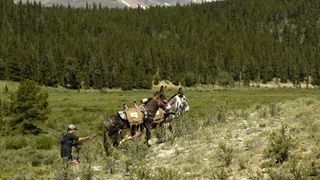 Racers and their burros make their way towards Mosquito pass at the beginning of the Pack Burro Race
