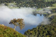 Serene above the mist, a rowan clings to the fell above Grasmere in Cumbria.