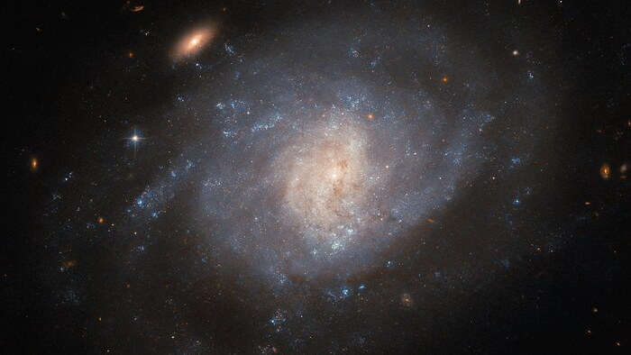 Hubble Space Telescope sees supernova wreckage in a hazy galaxy (image) Space
