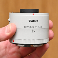 Canon Extender EF 2x III gives 2x