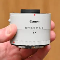 Canon Extender EF 2x III gives 2x