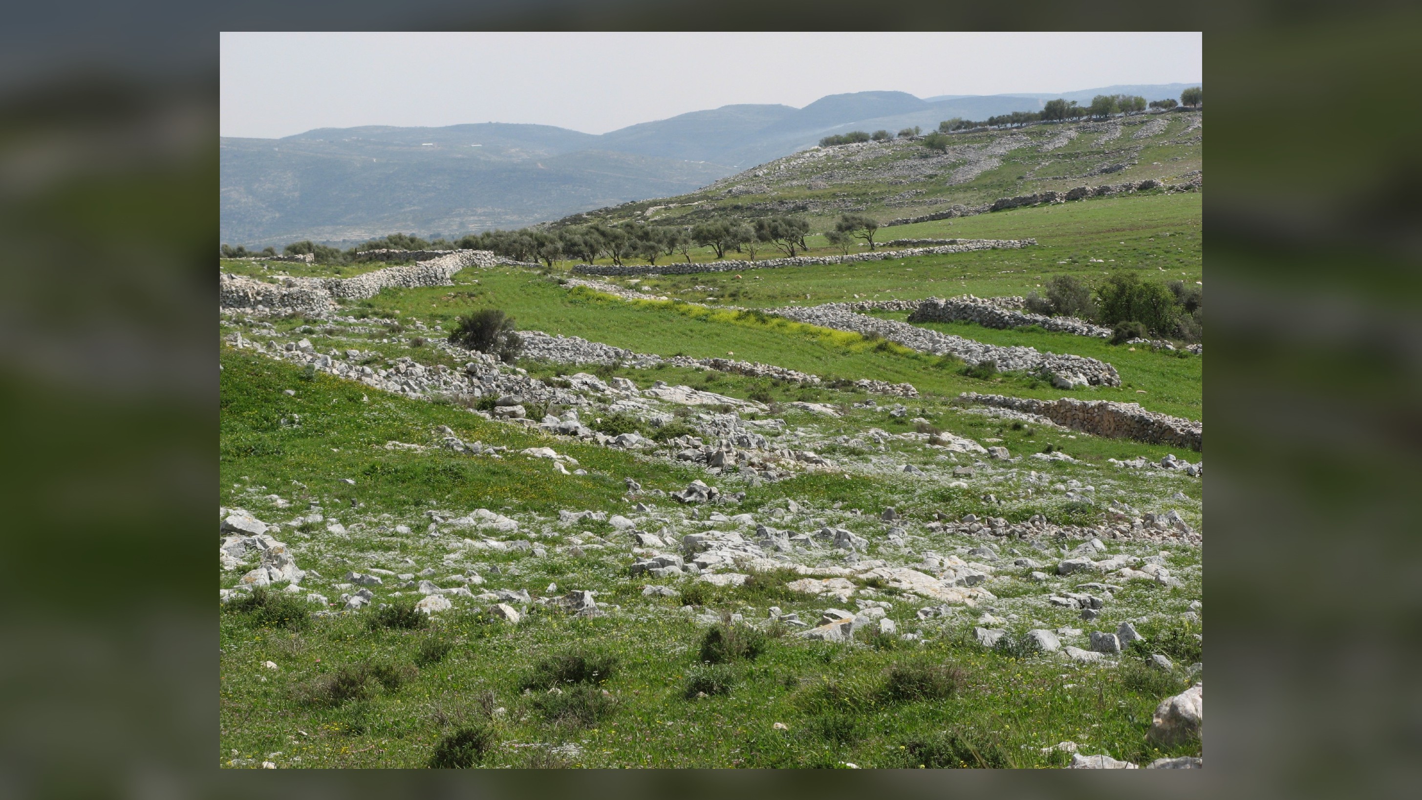 Mount Ebal, just north of the city of Nablus in the West Bank, is said in a biblical passage to be one of the first locations in Canaan seen by the ancient Israelites.