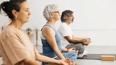 Three senior people meditate in a yoga class. 