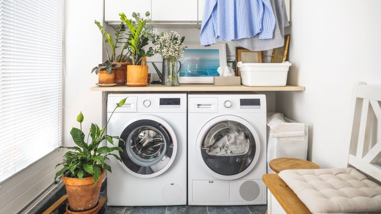 A laundry room with washer, dryer, and houseplants