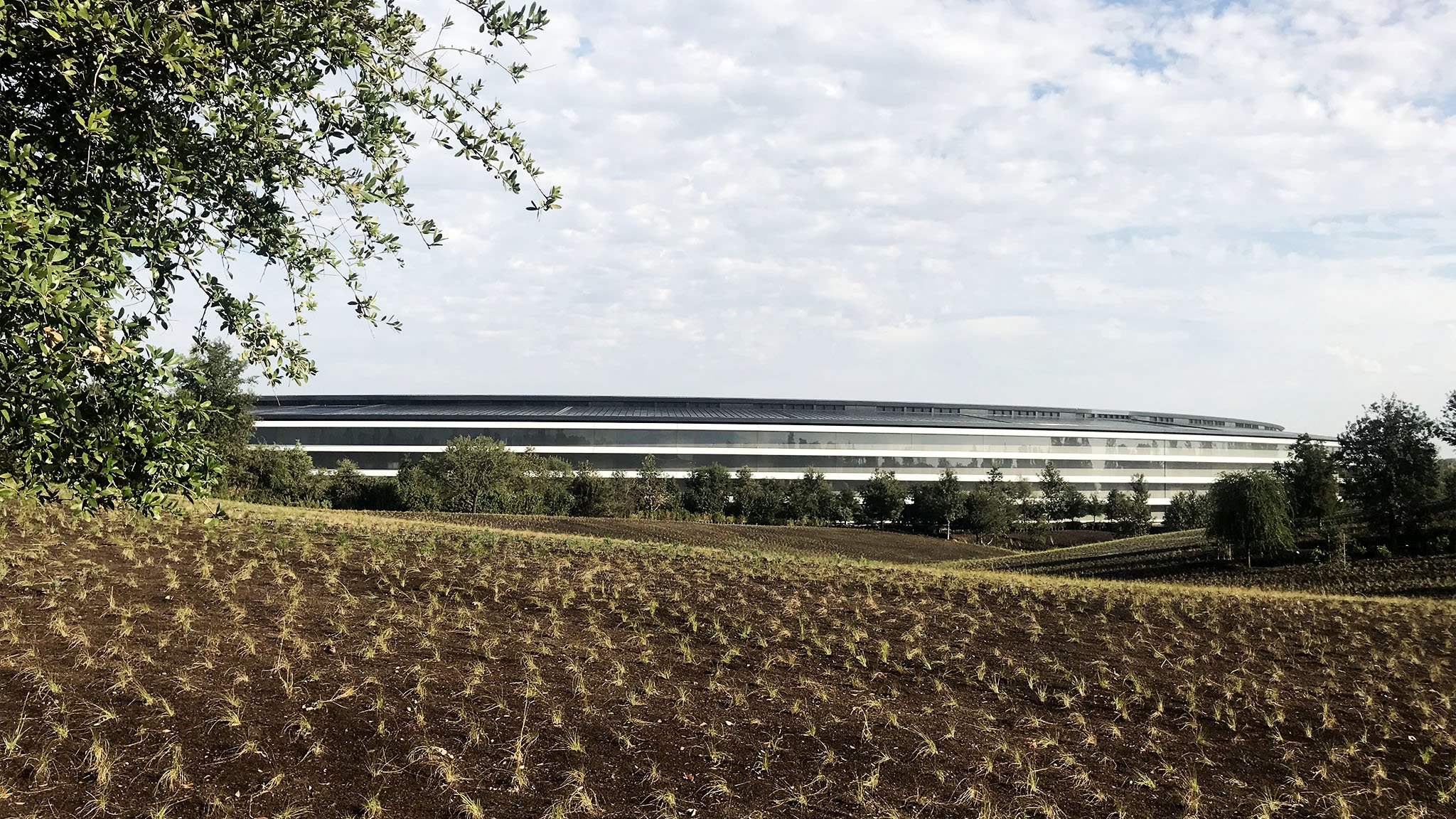 Apple's Cupertino Visitors Center Carries a Collection of Unique Items