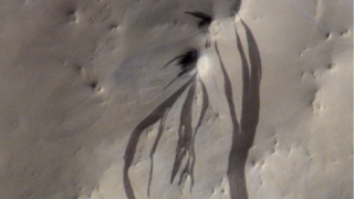 A view of Mars' surface with lots of dark streaks toward the center, going down vertically offscreen.