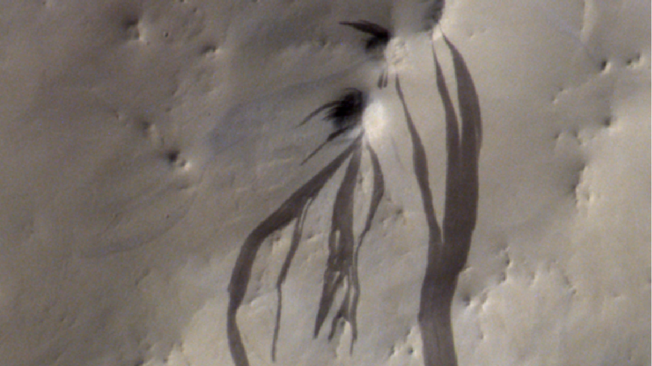 A view of Mars&#039; surface with lots of dark streaks toward the center, going down vertically offscreen.