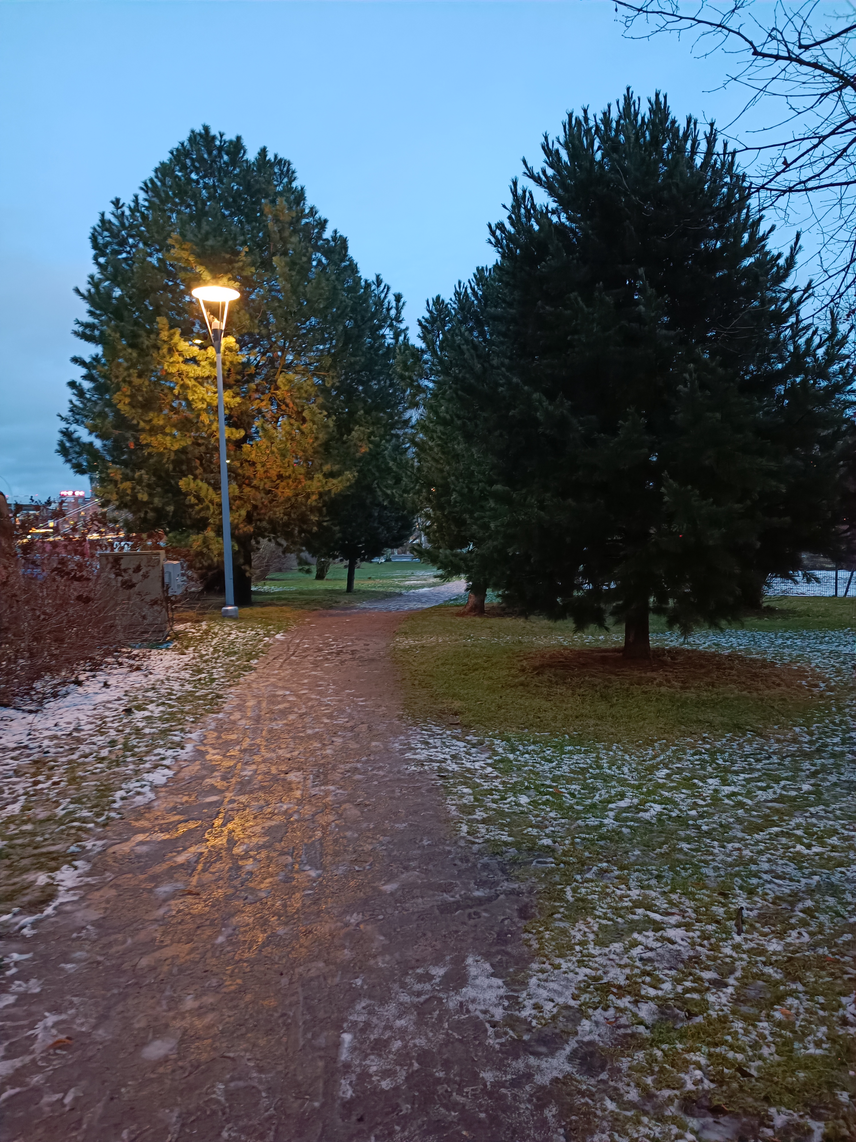 Xiaomi 11T camera sample