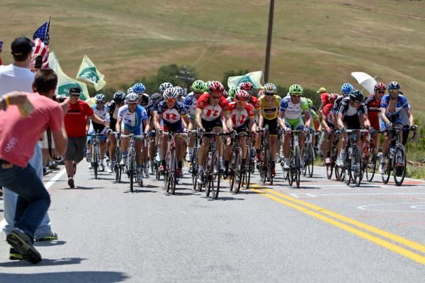 RadioShack head the bunch