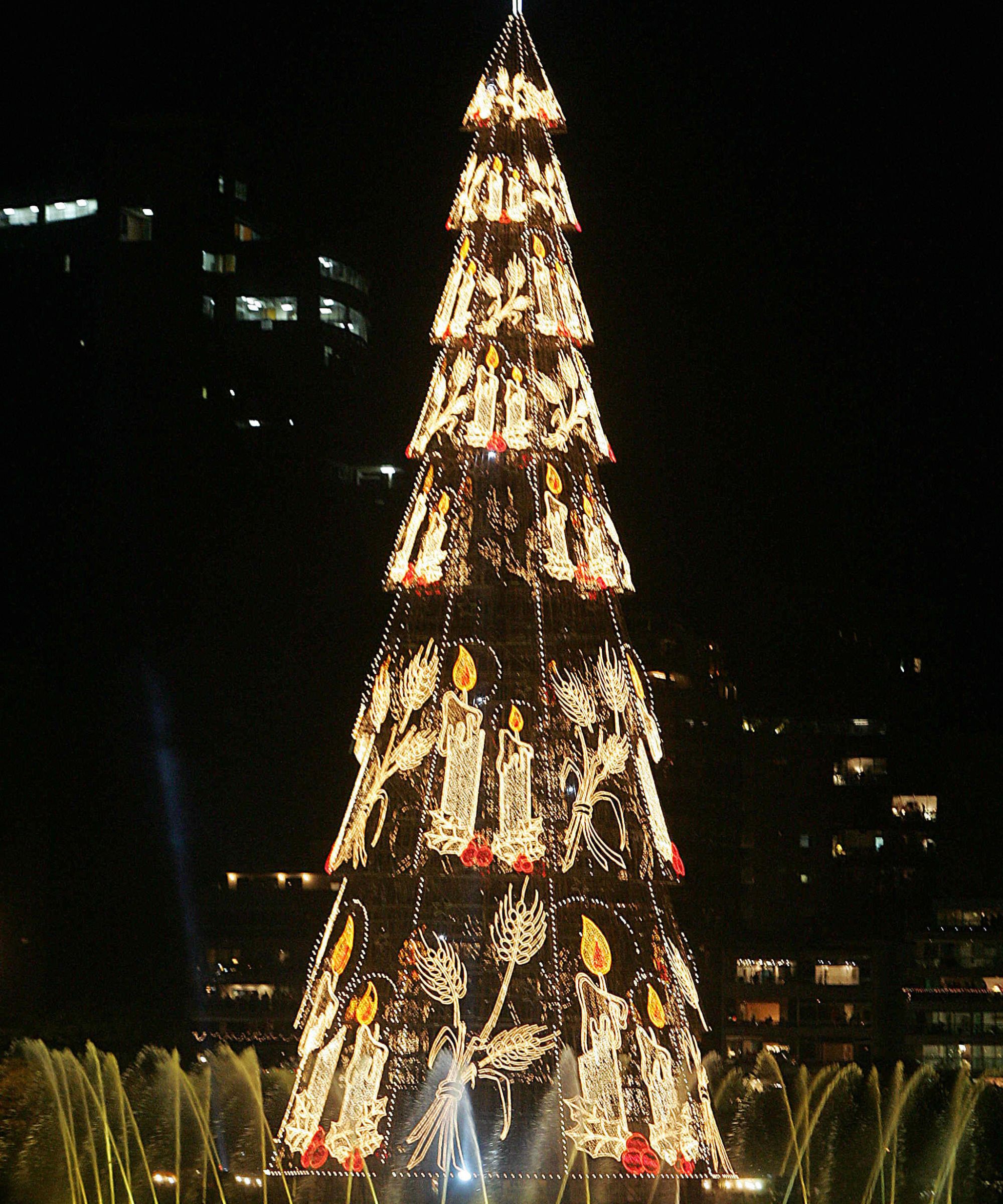 Rodrigo de Freitas lagoon in Rio de Janeiro, Brazil