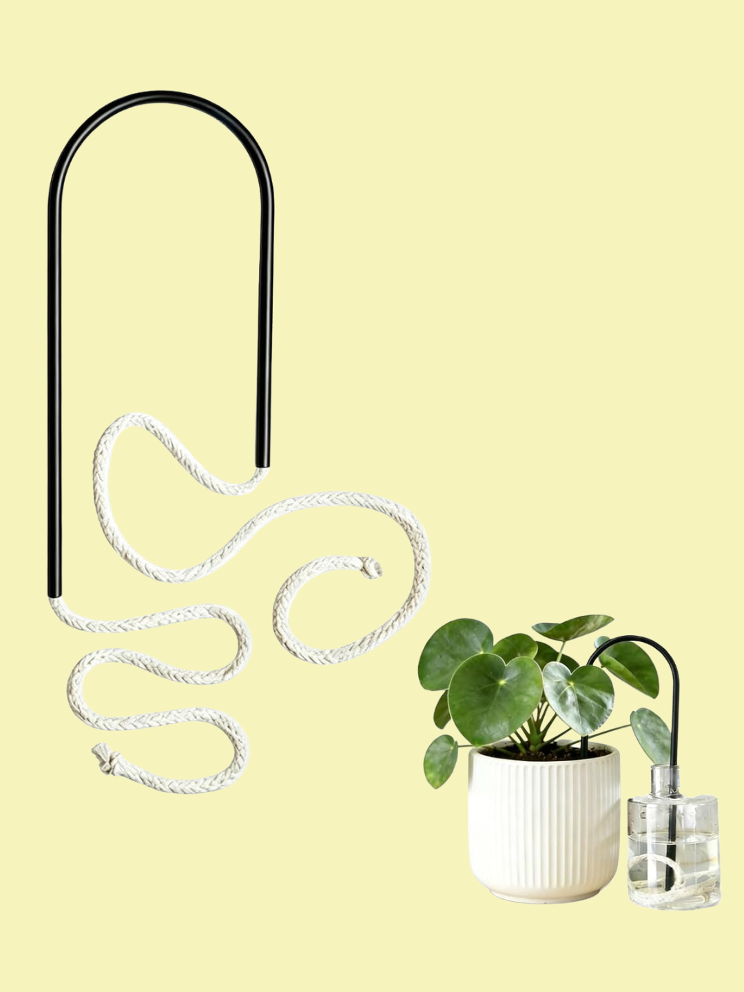 A plant wick system from Amazon