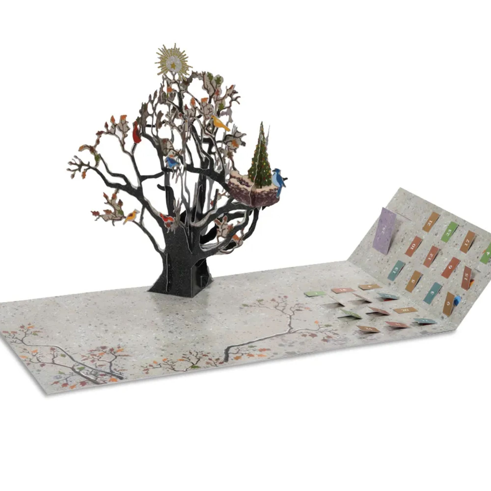 Avian Holiday Pop-Up Advent Calendar