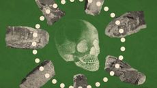 Photo collage of a circle of stones on a green background, with an engraving of a child's skull in the middle.