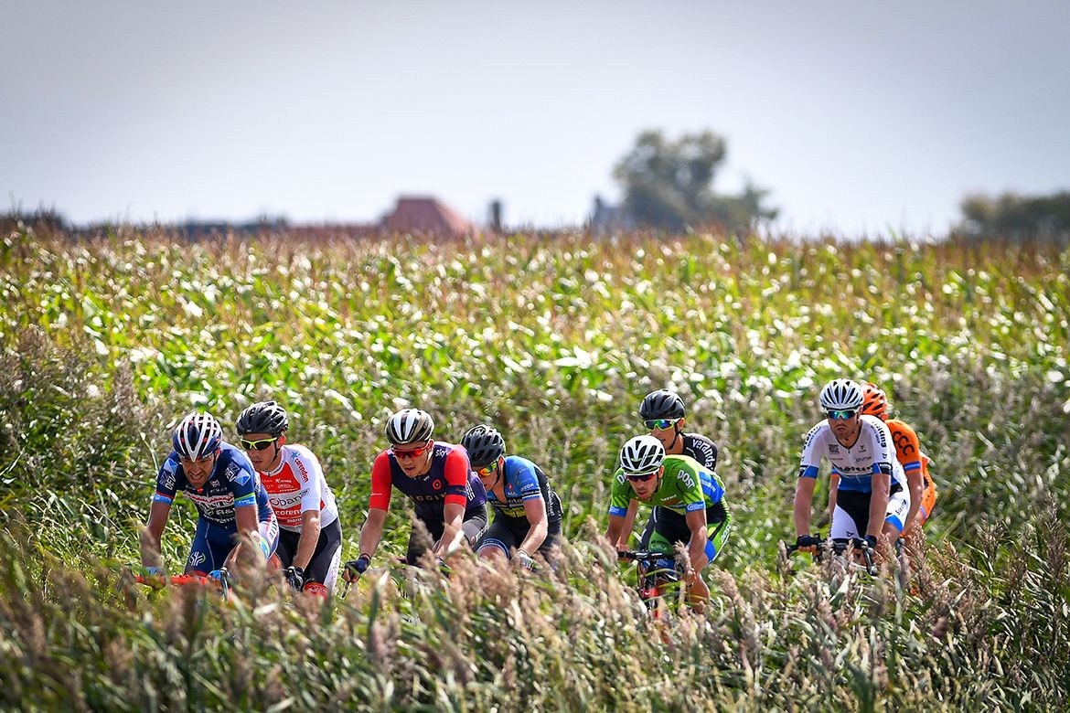 The peloton in Schaal Sels