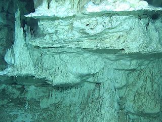 The hydrothermal vents of the Lost City.