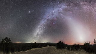 milky way reaches up through the sky and a milky white light emanates from the lower right corner of the image beyond the trees.