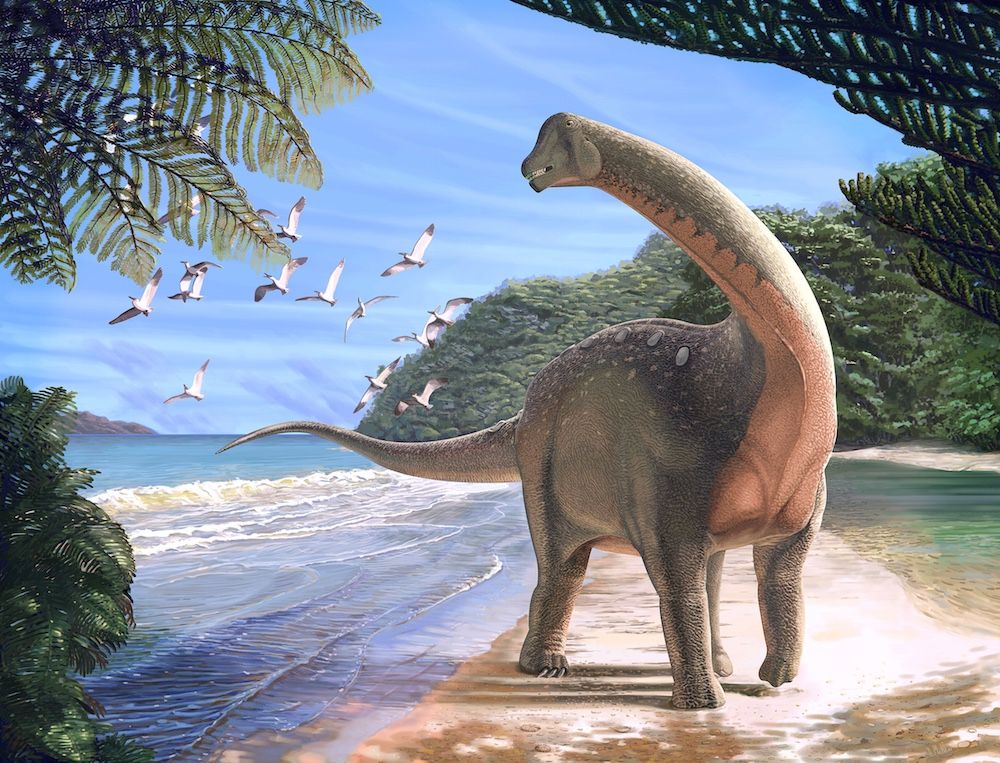 Even though it was discovered in Egypt, &lt;i&gt;Mansourasaurus shahinae&lt;/i&gt; had more in common with dinosaurs discovered in Europe than it did with dinosaurs found in southern Africa.