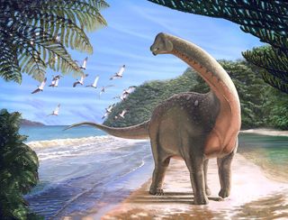 Even though it was discovered in Egypt, <i>Mansourasaurus shahinae</i> had more in common with dinosaurs discovered in Europe than it did with dinosaurs found in southern Africa.