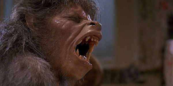 American Werewolf in London