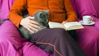 Cat sitting on someone's lap while they stroke them and read a book