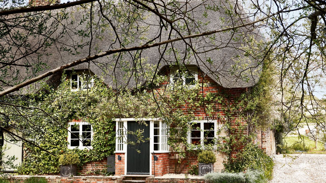 brick built thatched cottage exterior with trees and climbers