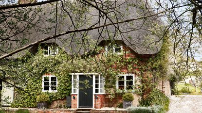 brick built thatched cottage exterior with trees and climbers