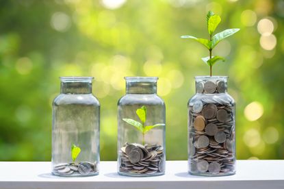 Three jars with growing plants and coins signifying savings rates.