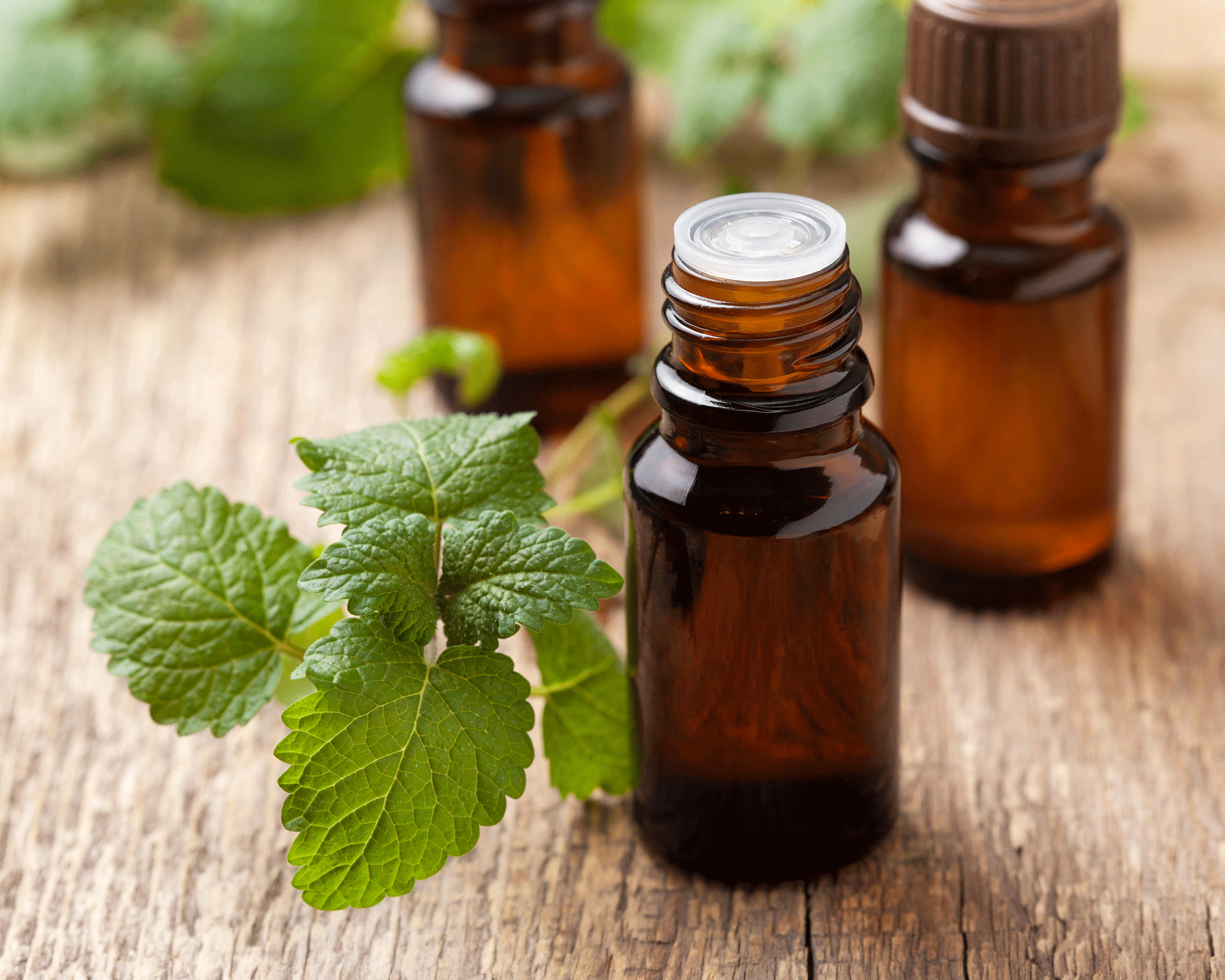 brown bottle of peppermint oil with fresh peppermint leaf