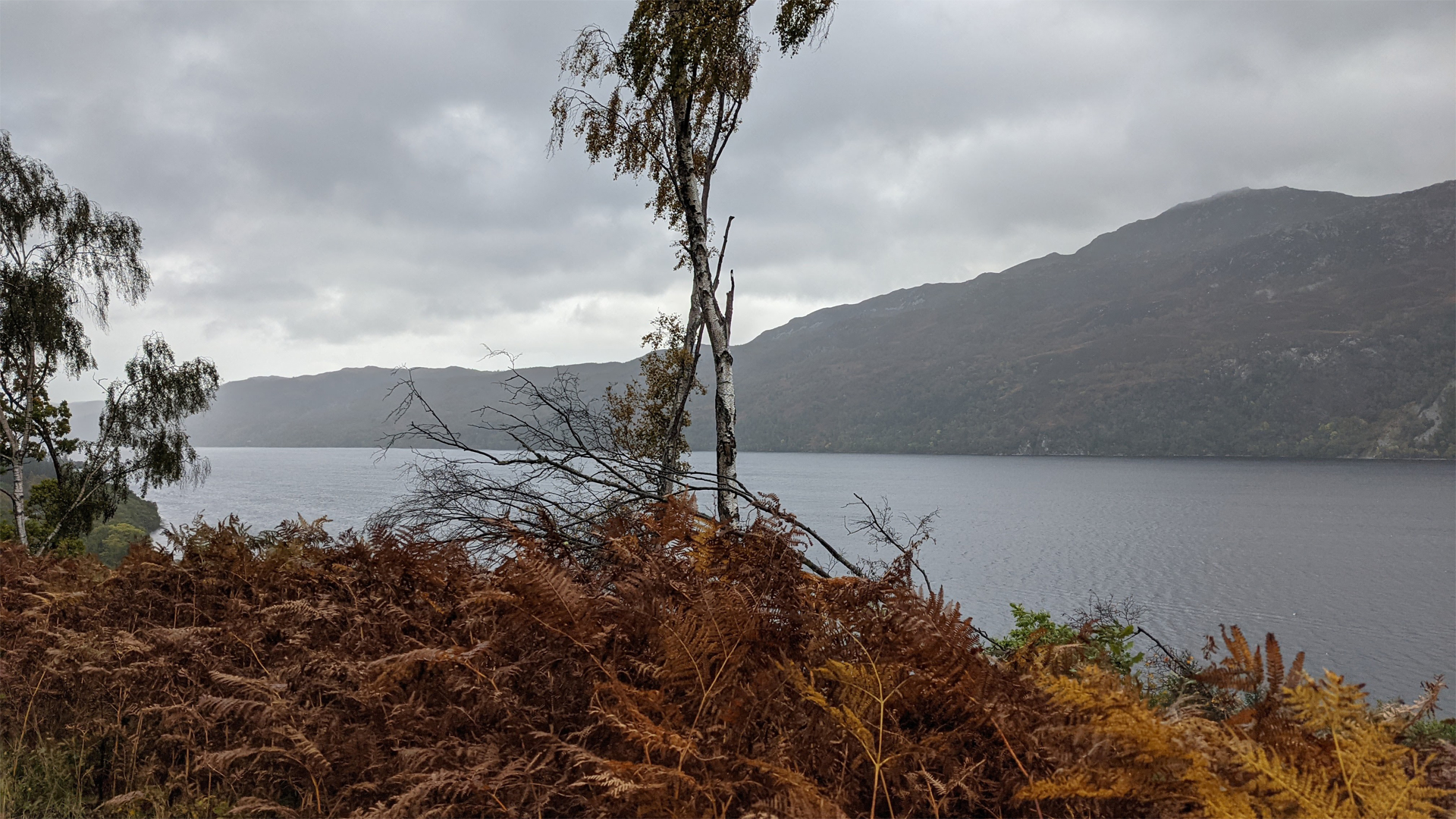 A beautiful view over Loch Ness on the Great Glen Way