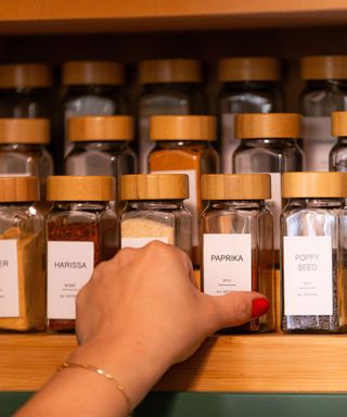 An organized shelf of spices