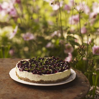 Lemon cheesecake with blackcurrant topping