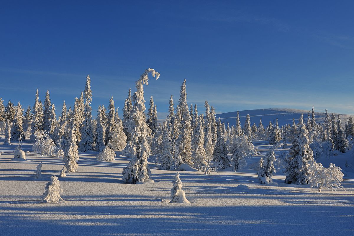juki.korhonen - Finland