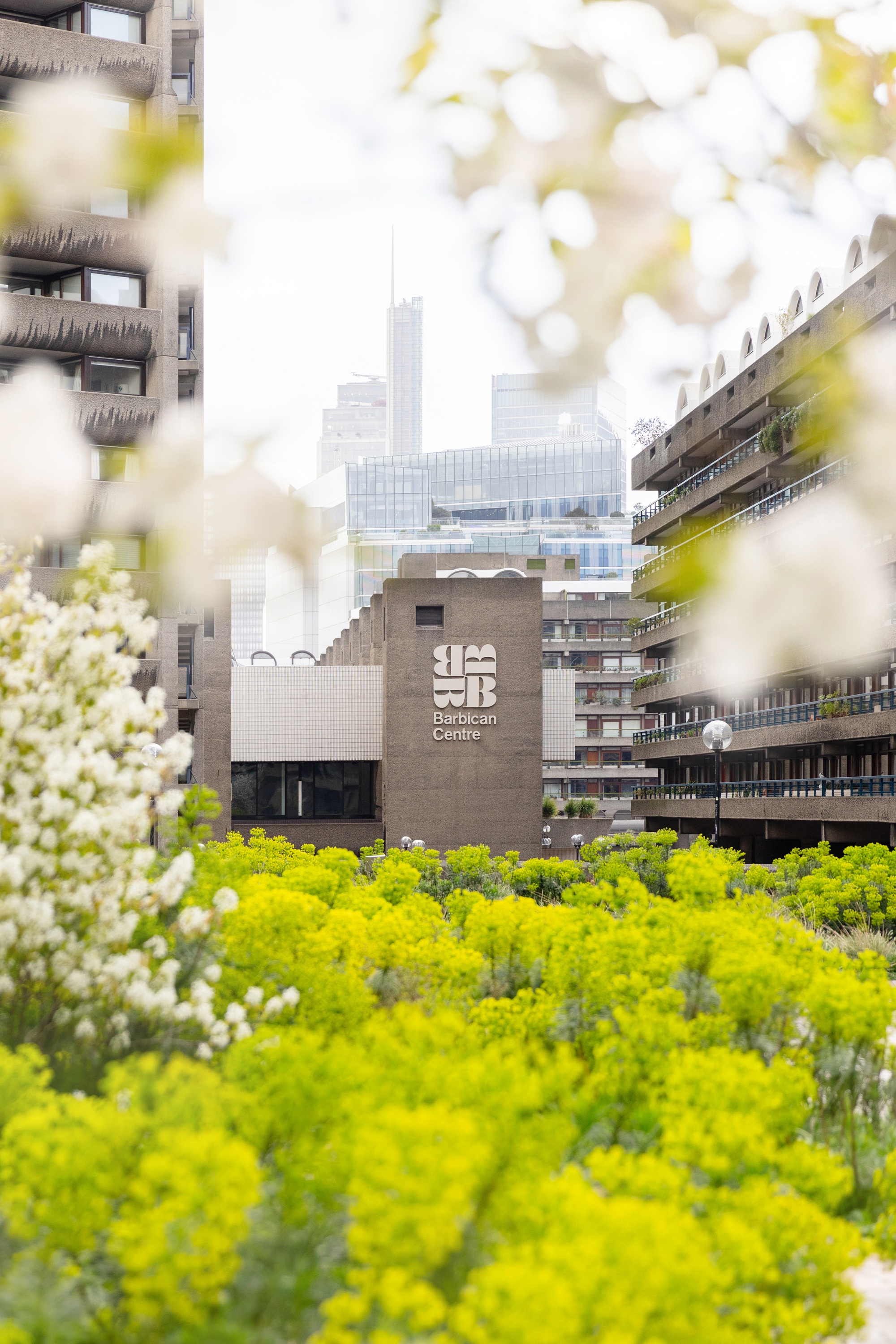 beech gardens at london's barbican building